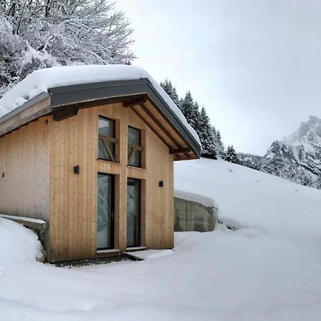 Chalet*** Au Pied D'Une Prairie Face A La Montagne Sixt Exterior foto