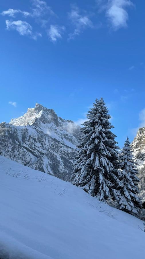 Chalet*** Au Pied D'Une Prairie Face A La Montagne Sixt Exterior foto