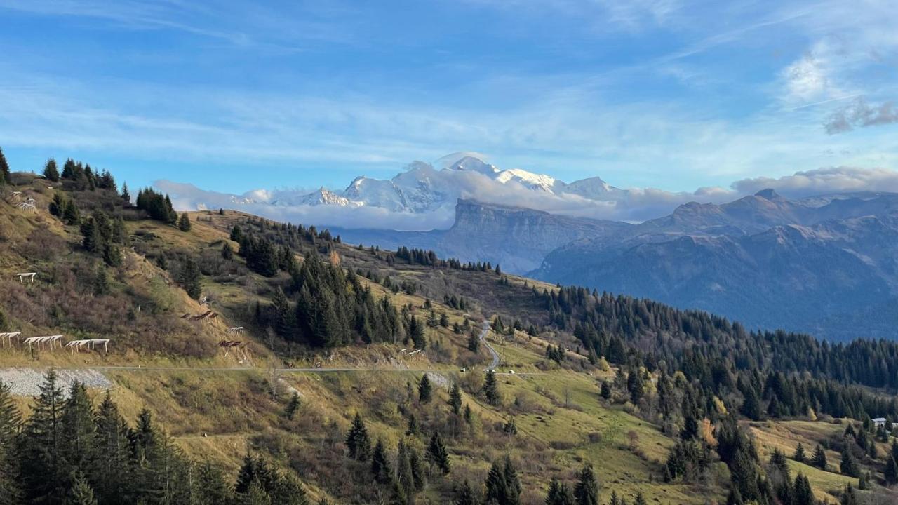 Chalet*** Au Pied D'Une Prairie Face A La Montagne Sixt Exterior foto