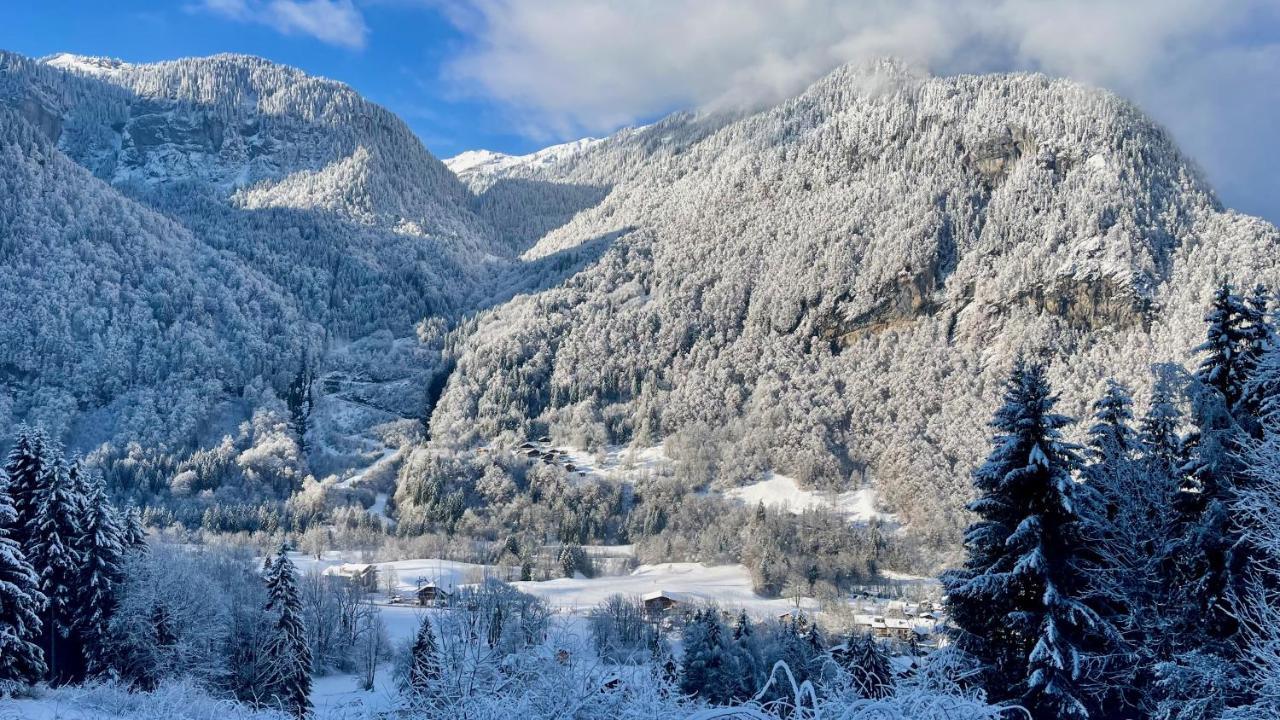 Chalet*** Au Pied D'Une Prairie Face A La Montagne Sixt Exterior foto